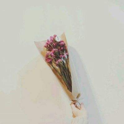 求生之城手游